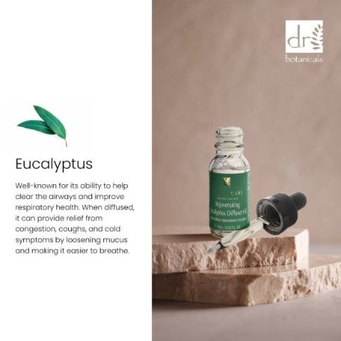 Rejuvenating Eucalyptus Diffuser Kit - skinChemists
