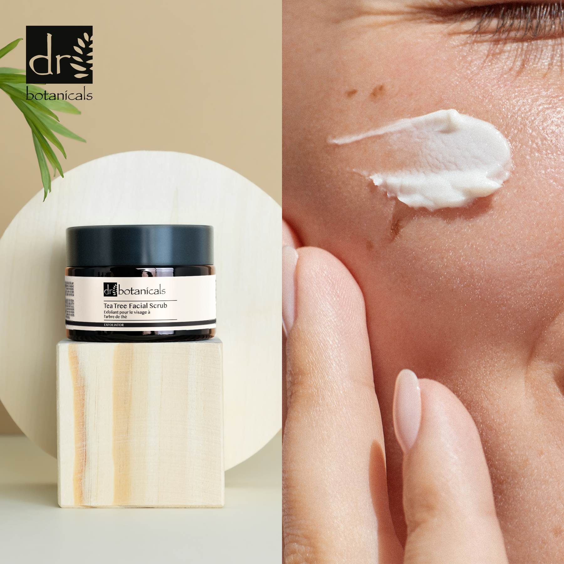 Gommage visage eucalyptus et arbre à thé 50 ml