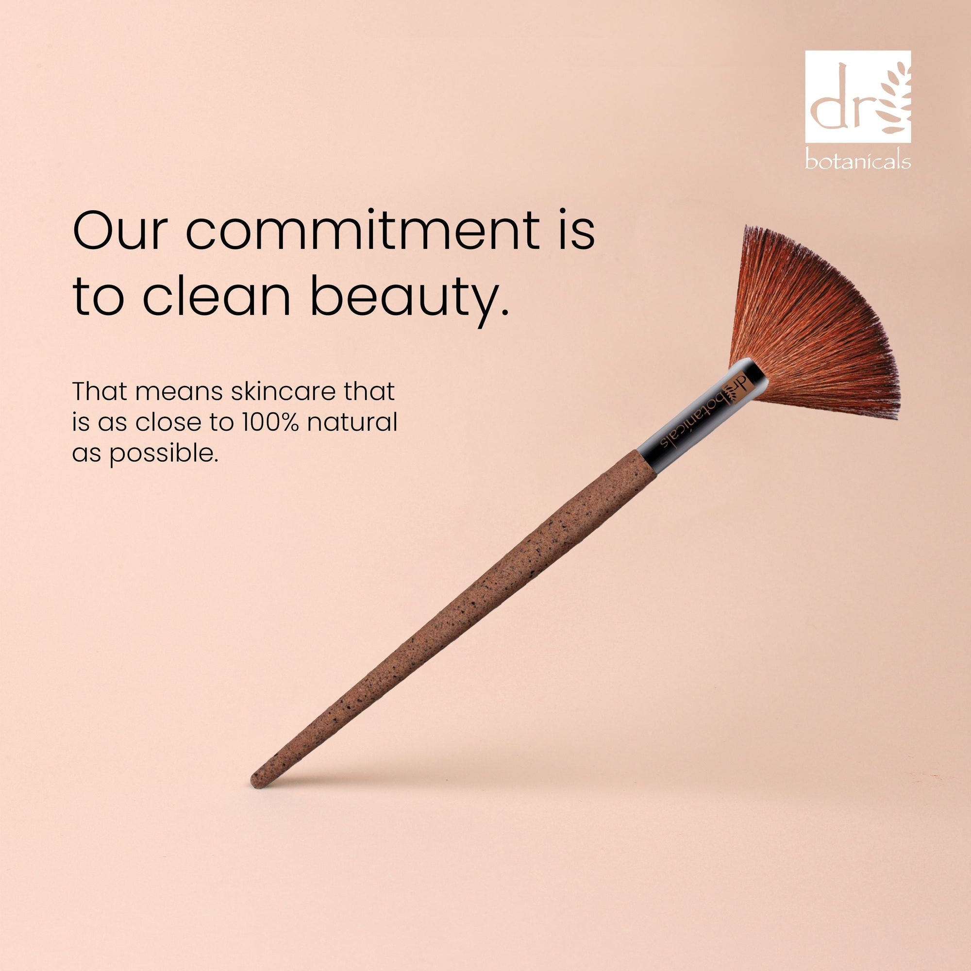 Lot de 2 brosses éventail marc de café, économiques