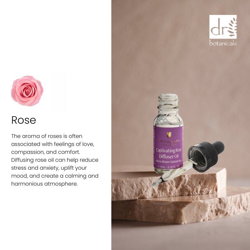 Bezauberndes Rosen-Diffusoröl 10 ml