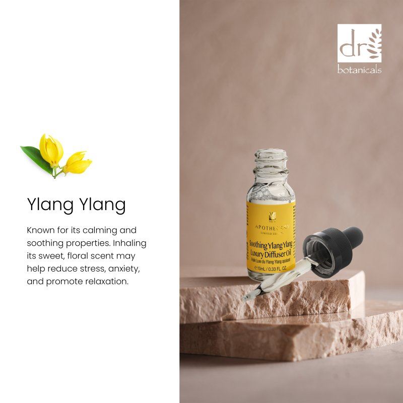 Huile pour diffuseur de luxe apaisante à l'ylang-ylang, 10 ml, lot de 2 à prix avantageux