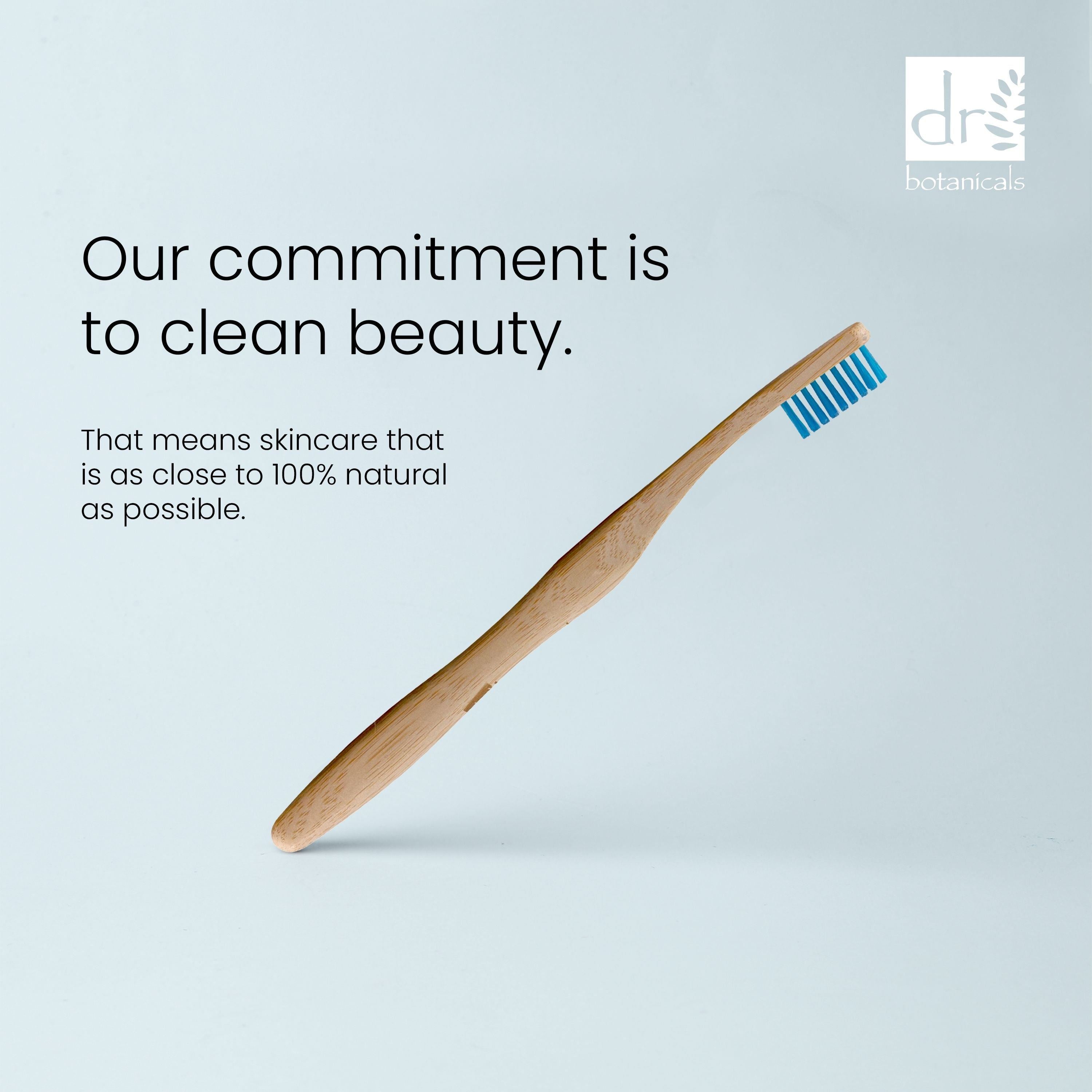 Brosse à dents en bambou bleue, lot de 2, offre économique