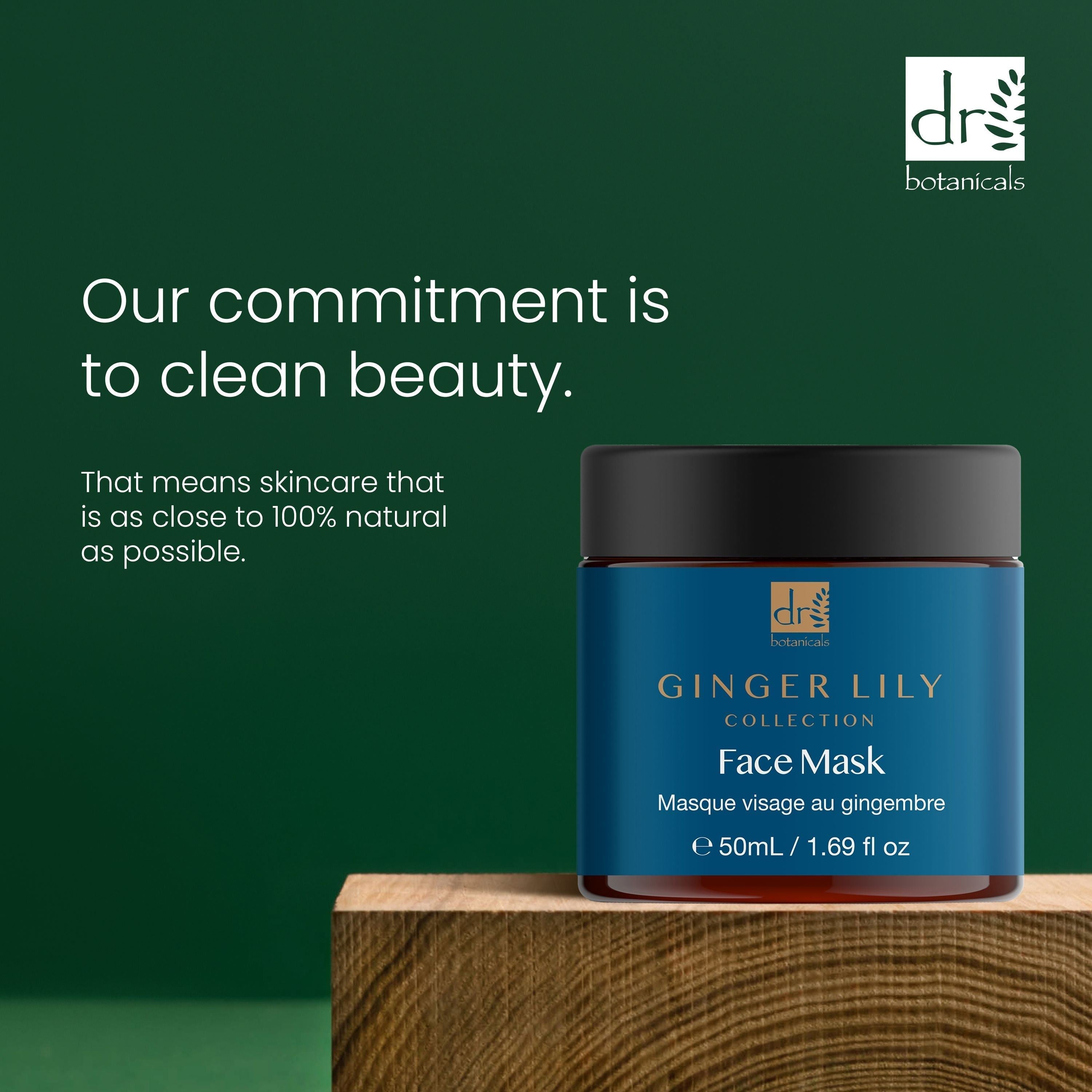 Masque Gingerlily 50 ml, lot de 2 à prix avantageux